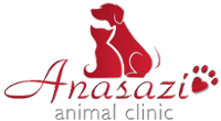 Anasazi Animal Clinic