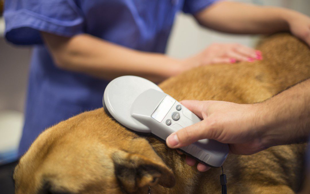 veterinary clinic