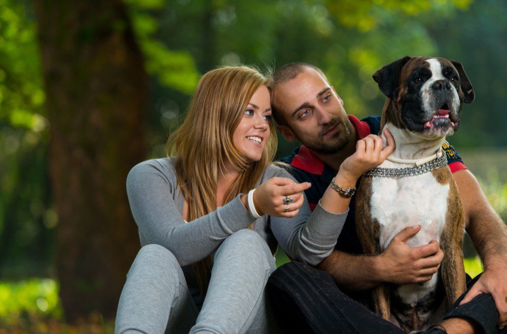 Vet Finder - couple with dog at a park