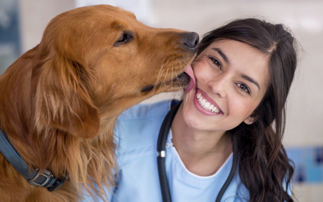 Online Pet Pharmacy