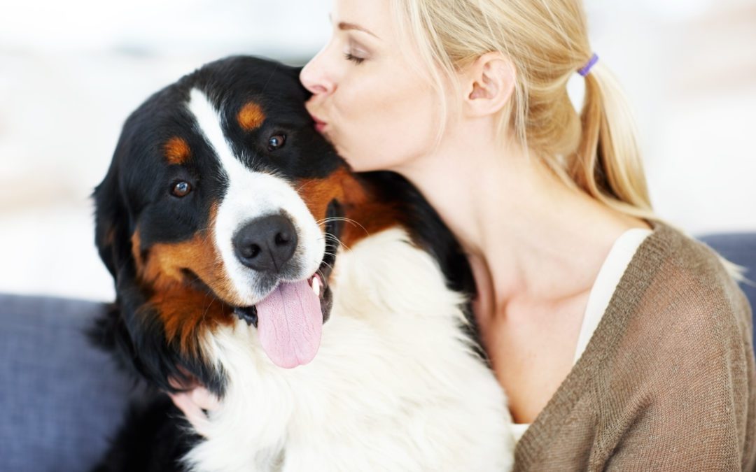How To Protect Your Dog From Rabies