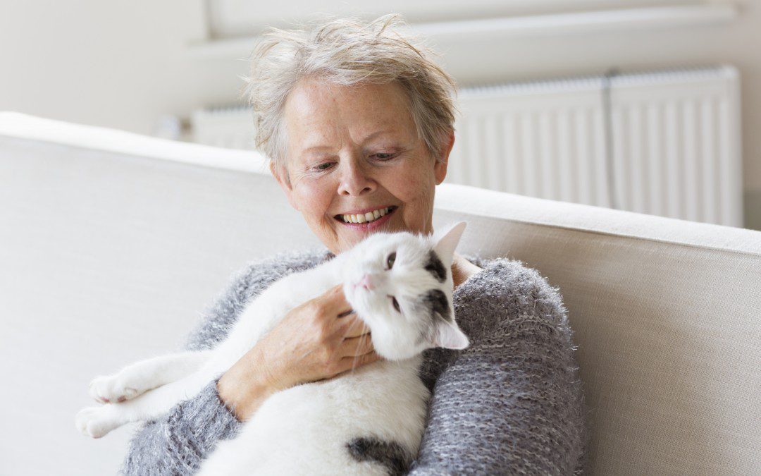 why cats make great pets