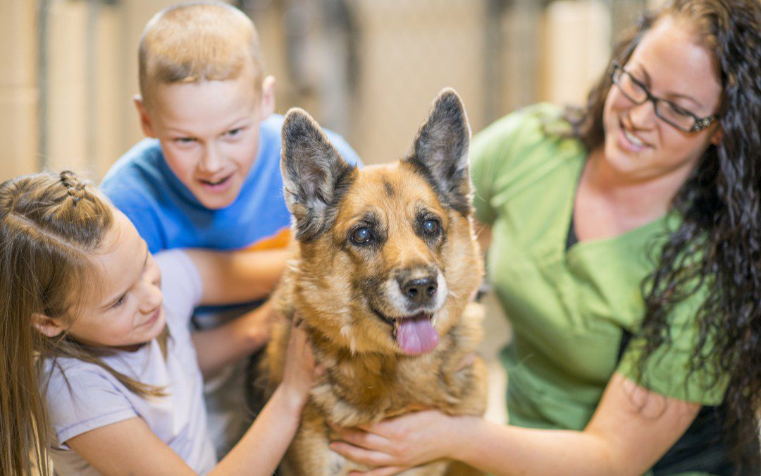 best vets in Gilbert - dog being petted by adult and two kids