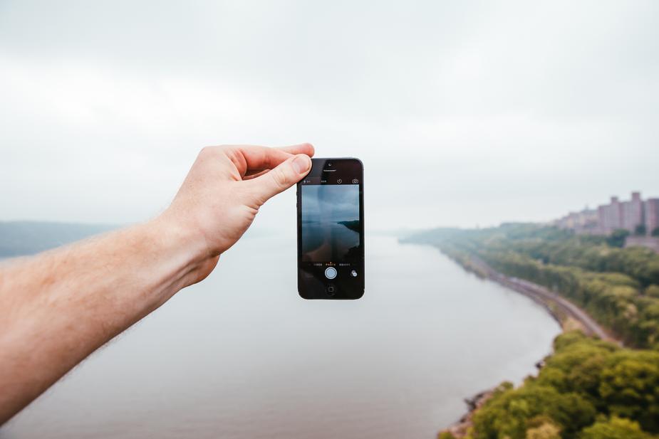 Identify Insects & Wildlife in Arizona With This New App