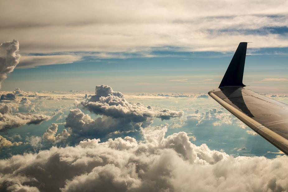 Flying With Your Pet?