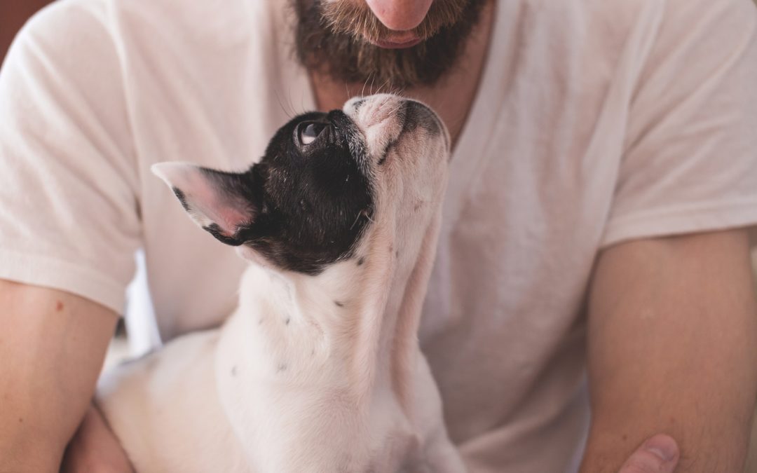 health benefits of owning a pet