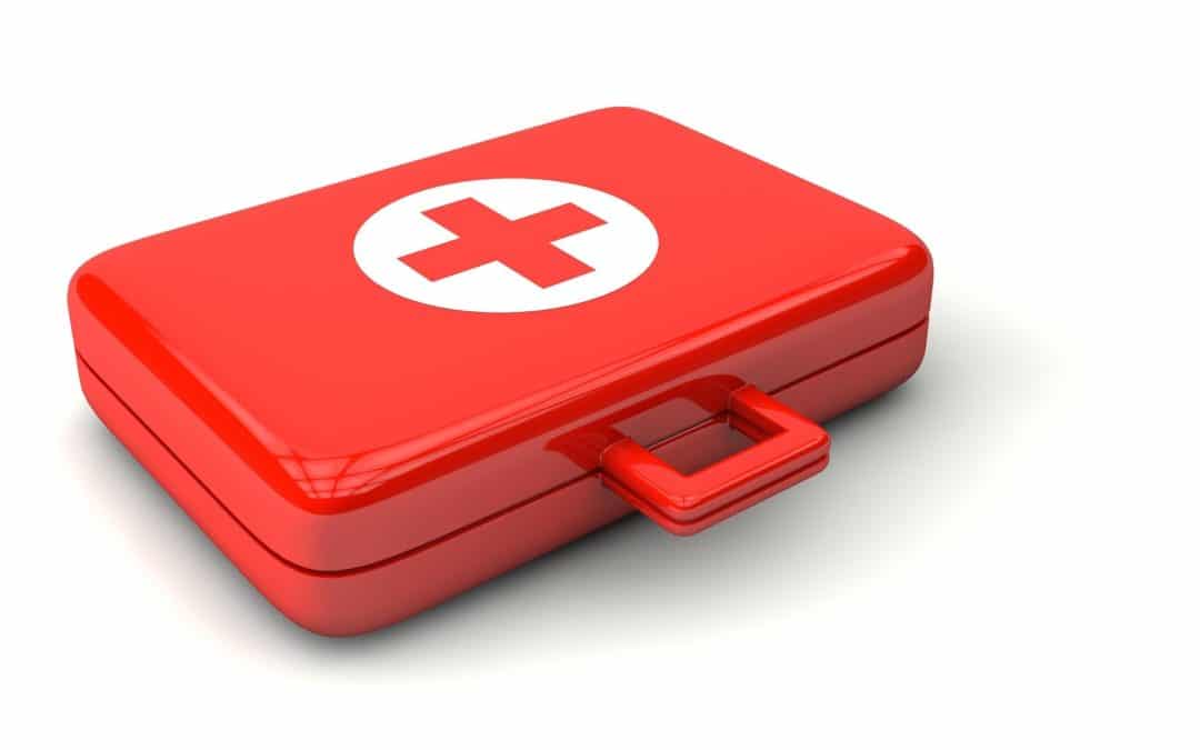 How to Build Your Own Pet First Aid Kit