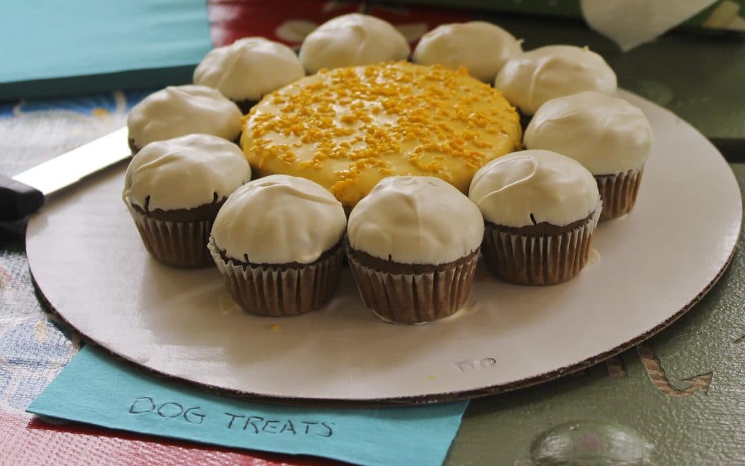 Sweet Homemade Treats for Your Furry Friends