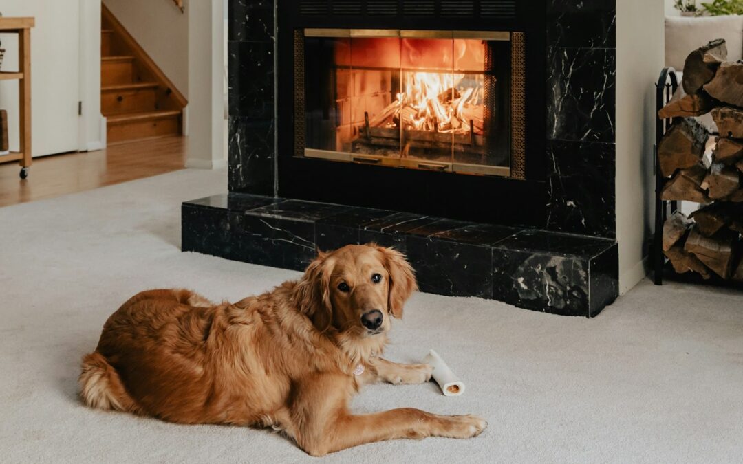 Why You Should Have a Carbon Monoxide Detector If You Have Pets